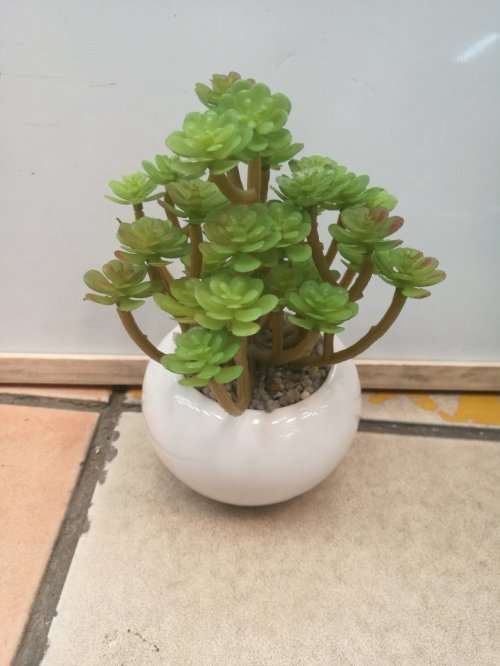 simulation flower plastic plastic flower potted plants R40 EACH IF YOU BUY 10 UNITS